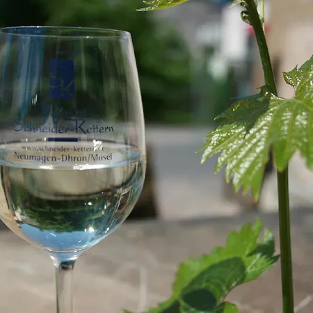 Apartment Schneider-kettern Neumagen-Dhron