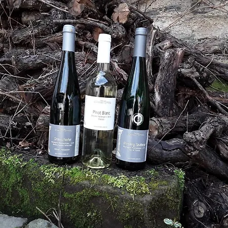 Schneider-kettern נוימאגן-דרון