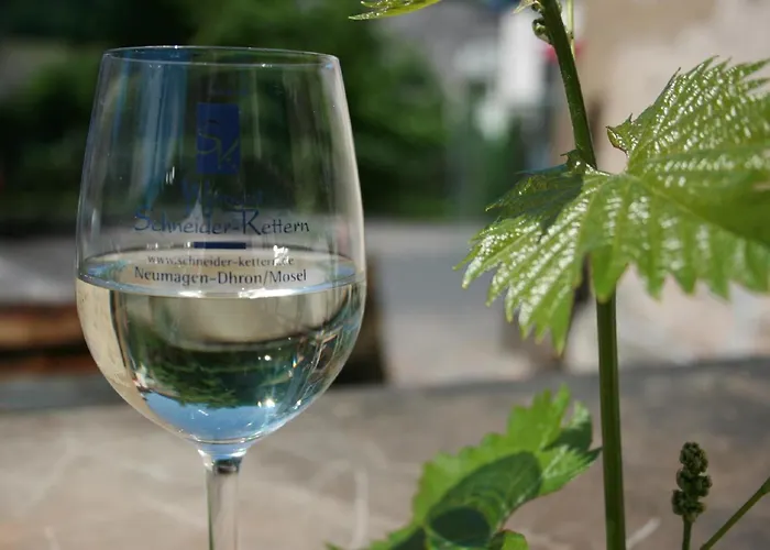 Apartment Schneider-kettern Neumagen-Dhron