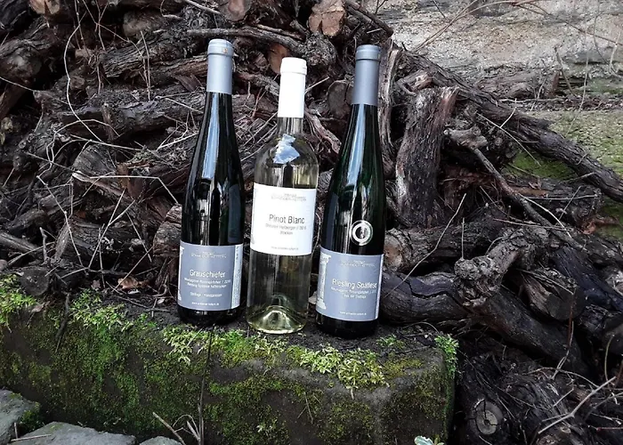 Schneider-kettern נוימאגן-דרון